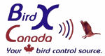 BirdXCanada.com logo