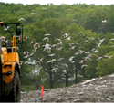 Bird X Critter Blaster PRO Landfill Application