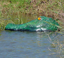 Gatorguard Deployed in Pond