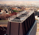 Rooftop Chimney Roost Deterrent