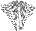 Polycarbonate Bird Spike Roosting Inhibitor Line Drawing