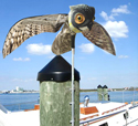 Bird X Prowler Owl Repels Seabirds
