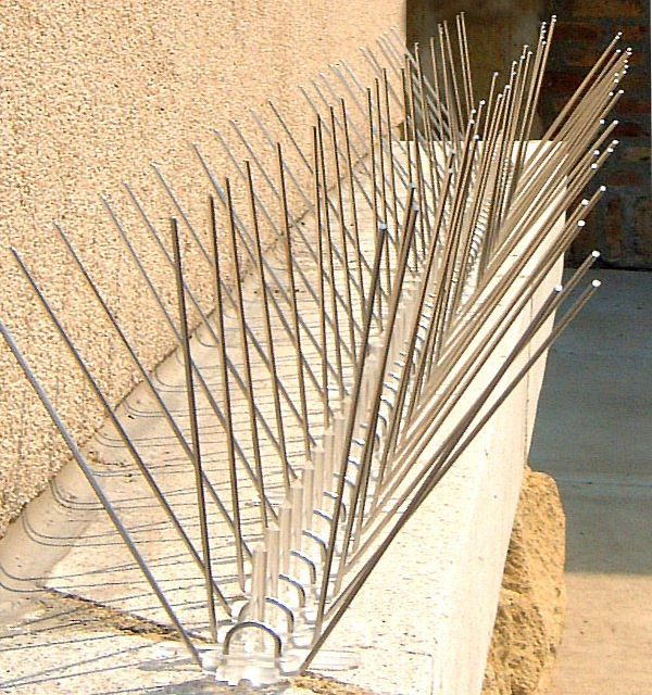 Stainless Steel SPIKES Needle Strips by BirdX BirdXCanada Detailed