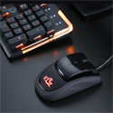 RBT Mouse