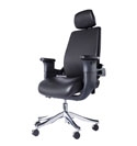 Eureka Executive Swing Chair