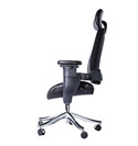 Eureka Executive Swing Chair - Side Profile