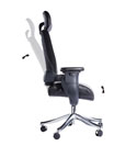 Eureka Executive Swing Chair - Dynamic Motion