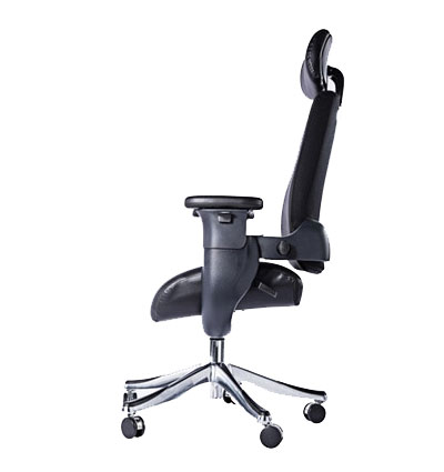 Executive Ergonomic Swing Chair by Eureka Ergonomic