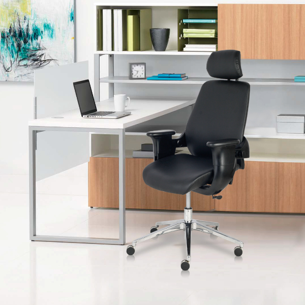 https://www.micwil.com/images/gallery/eureka_ergonomic_eureka_executive_swing_chair_p5_600x600.jpg