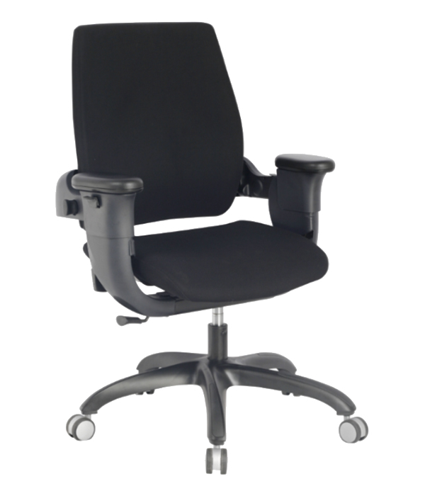 Executive Ergonomic Swing Chair by Eureka Ergonomic