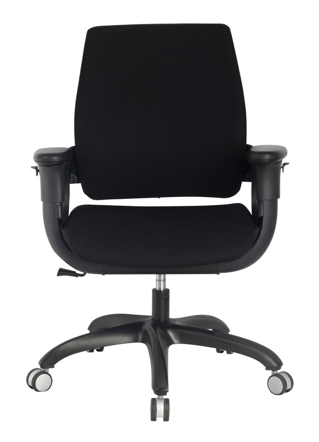 Executive Ergonomic Swing Chair by Eureka Ergonomic