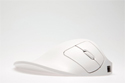 Handshoe Mouse - side view of white model