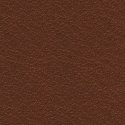 View of Brown Semi-Aniline Leather
