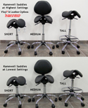 Kanewell Twin Adjustable Saddle Chair with Backrest - Height Adjustment Ranges