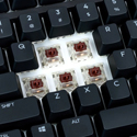 Freestyle Edge RGB Plus - Gateron Pro Brown Tactile