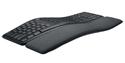 Ergo K860 Keyboard - Permanent Palm Support