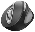 Microsoft Natural Wireless Laser Mouse 6000 - front view