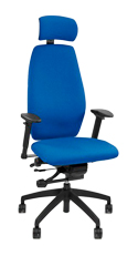 Positiv Plus High Back Executive Chair with Headrest - Profile View